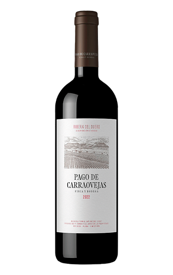 Vino Tinto Pago de Carraovejas (VINOTECA)